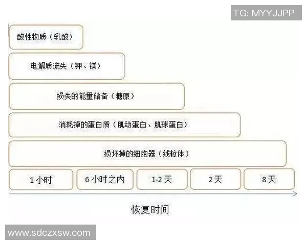 足球明星之间的复杂关系揭秘图解了解他们的友谊与竞争背后的故事